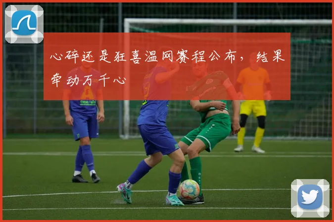 心碎还是狂喜温网赛程公布，结果牵动万千心