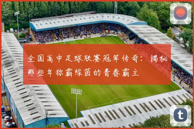 全国高中足球联赛冠军传奇：揭秘那些年称霸绿茵的青春霸主